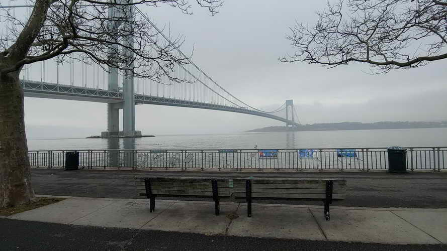 NYC_2020-02-01 11-50-19_CELL_20200201_115019